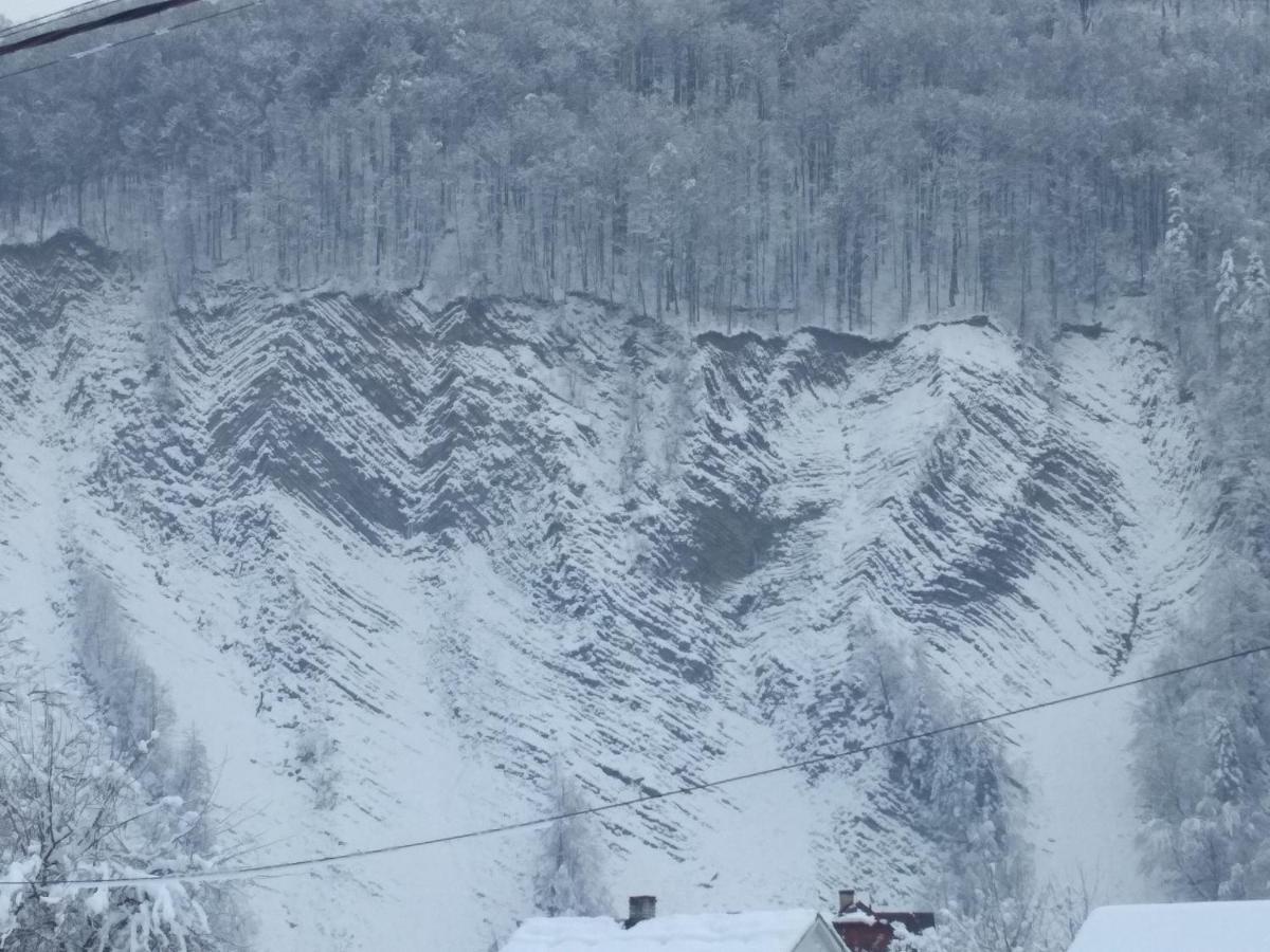 Zelena Sadyba Bila Stavka Jaremtje Exteriör bild