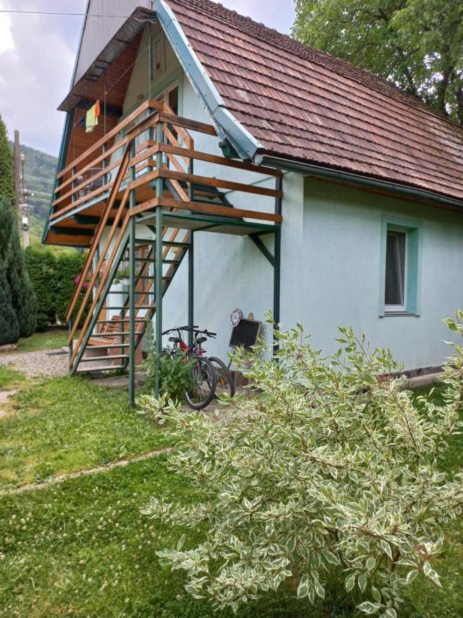 Zelena Sadyba Bila Stavka Jaremtje Exteriör bild