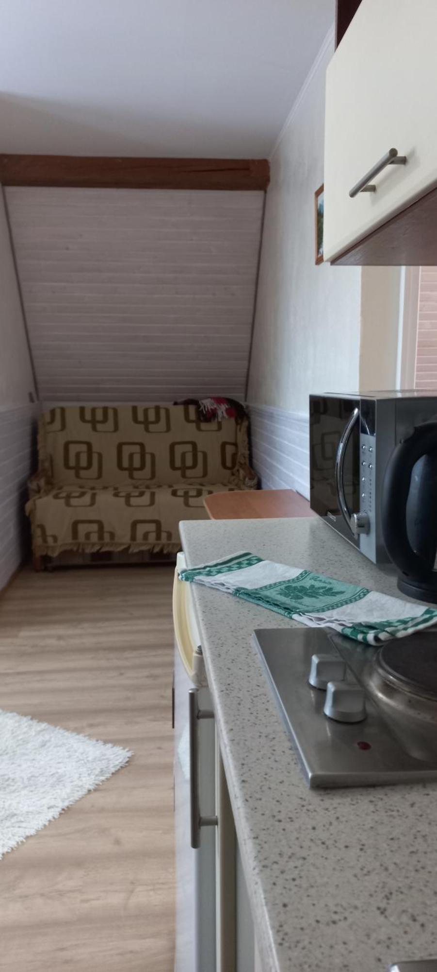 Zelena Sadyba Bila Stavka Jaremtje Exteriör bild